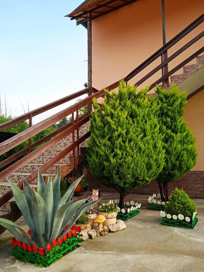 Изабелла Otel Pitsunda Dış mekan fotoğraf